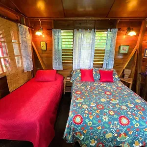  Auberge de jeunesse Judy House And